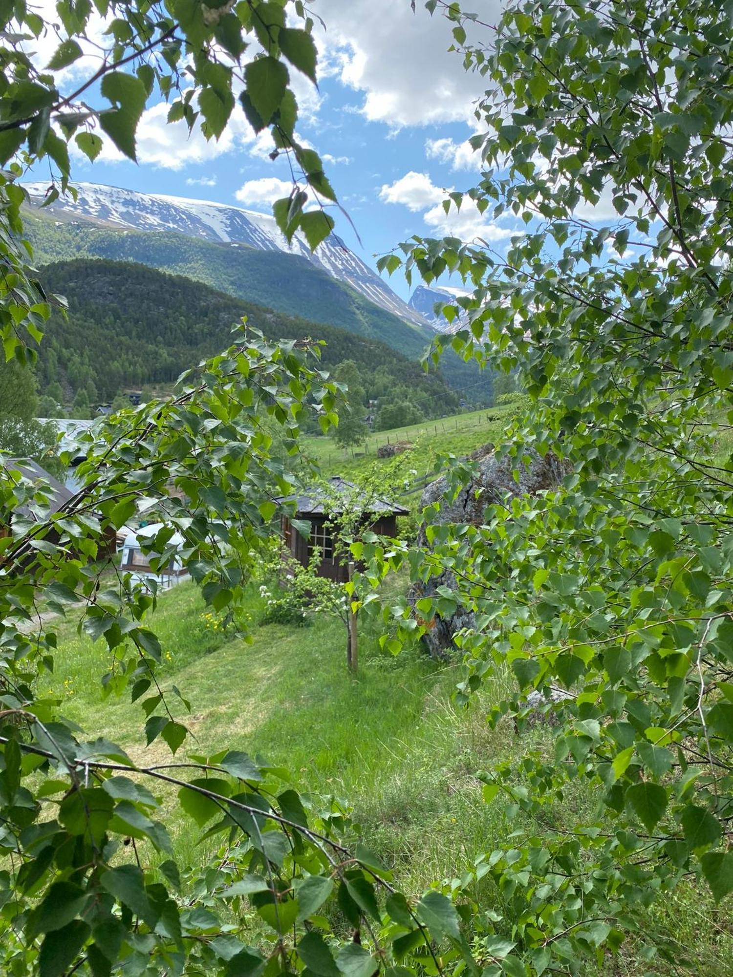 Galde Uppigard Boverdalen